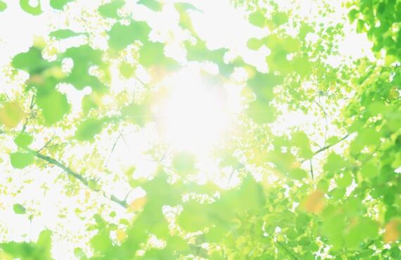 お弁当のダップは、おすすめ、安い、お得、便利